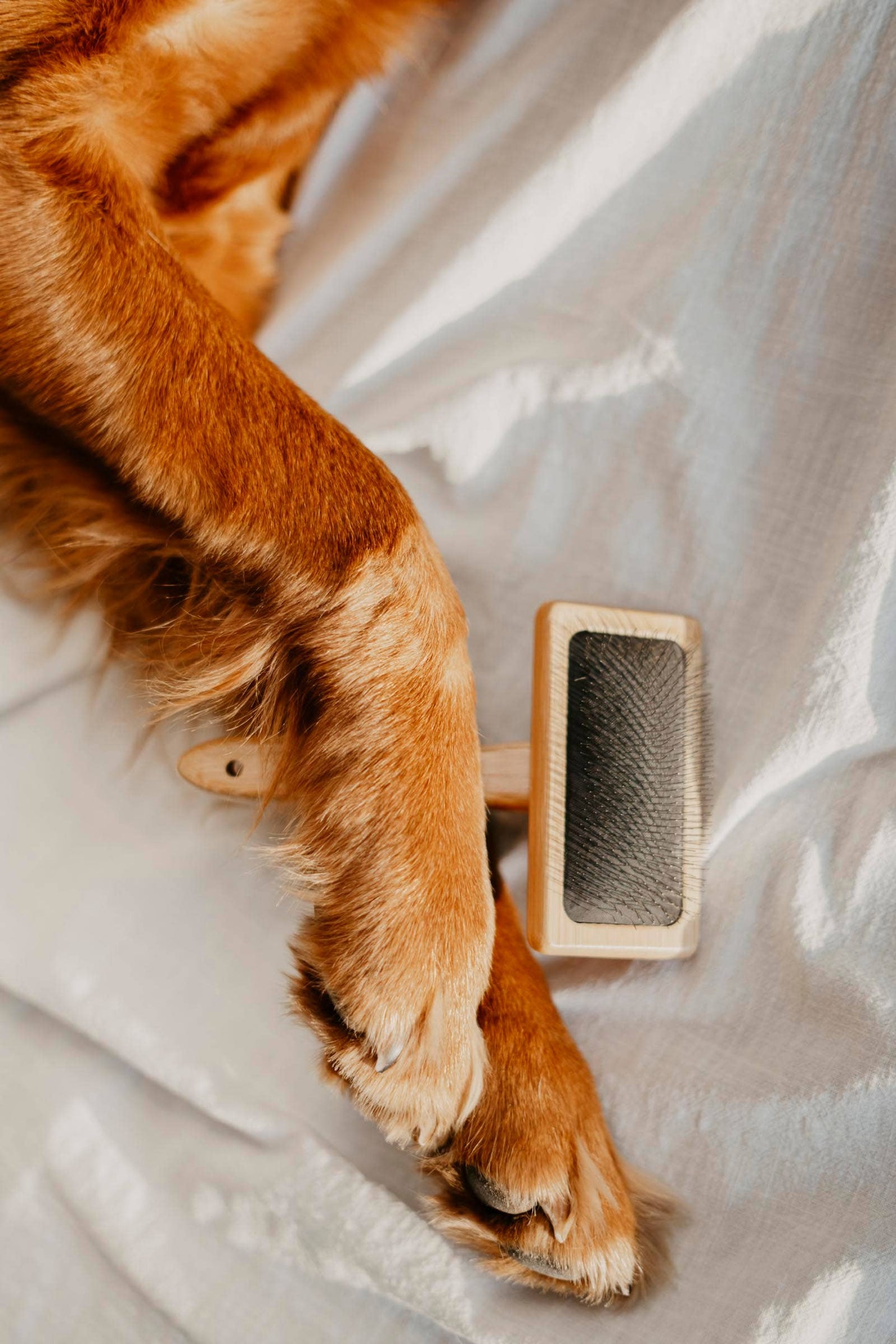 Pet Hair Brush