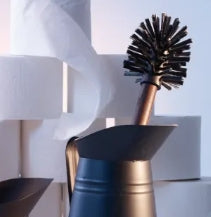 Toilet Brush with replaceable head