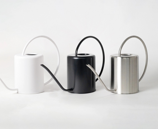 2L Stainless Steel Watering Can